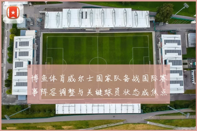 博鱼体育威尔士国家队备战国际赛事阵容调整与关键球员状态成焦点