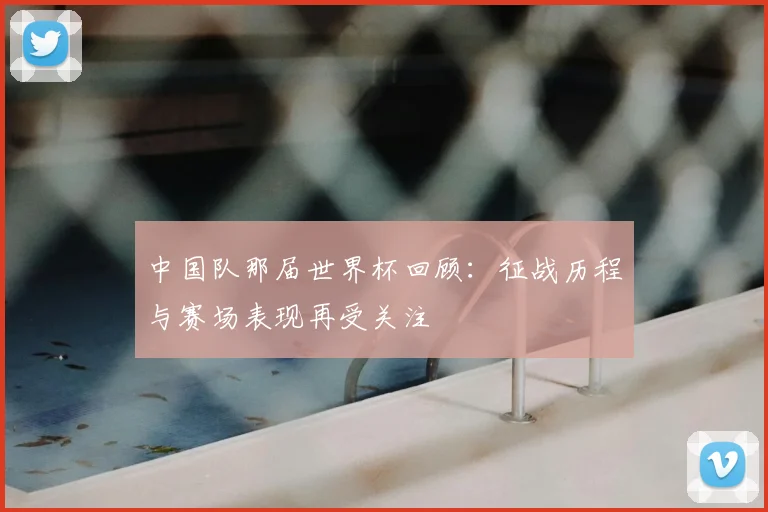中国队那届世界杯回顾：征战历程与赛场表现再受关注
