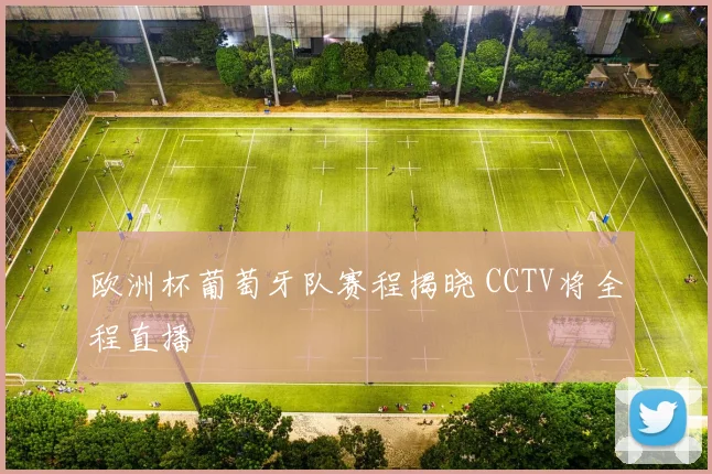 欧洲杯葡萄牙队赛程揭晓 CCTV将全程直播