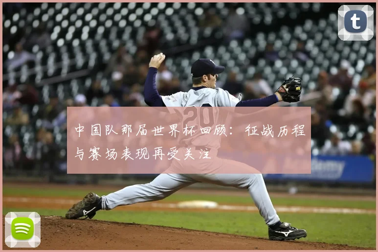 中国队那届世界杯回顾：征战历程与赛场表现再受关注