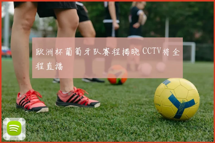欧洲杯葡萄牙队赛程揭晓 CCTV将全程直播